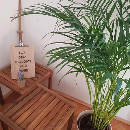 Apartment Maca *